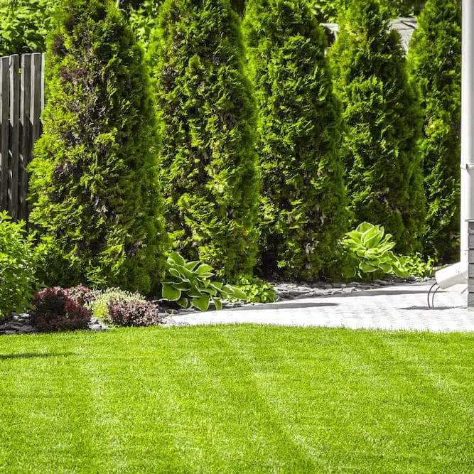 Contentor de resíduos de jardim