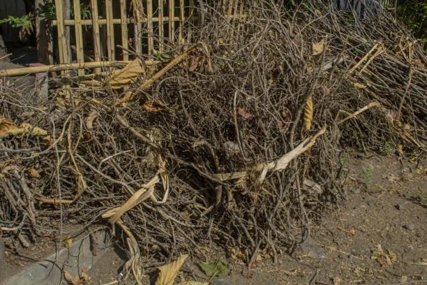 Contentor de vegetação